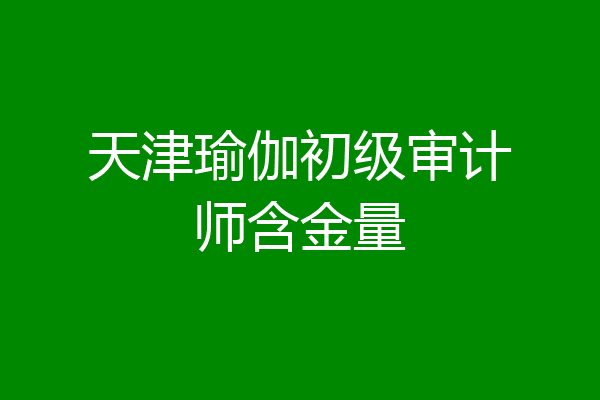 天津瑜伽初级审计师含金量