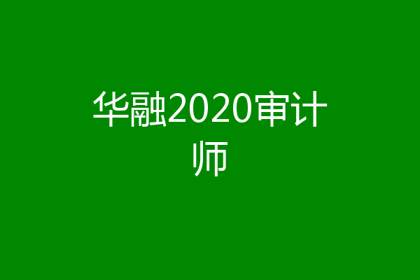 华融2020审计师