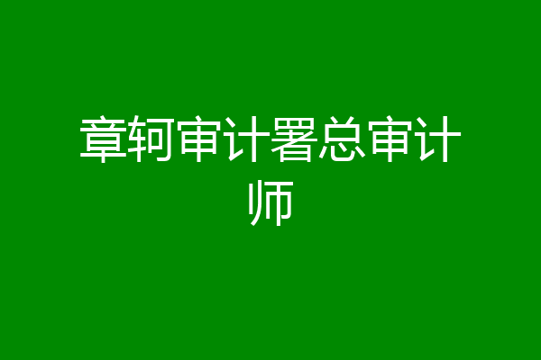 章轲审计署总审计师