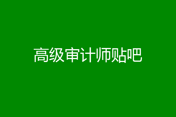 高级审计师贴吧
