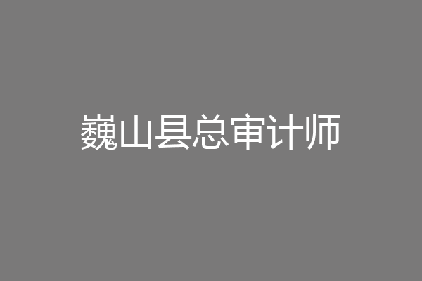 巍山县总审计师