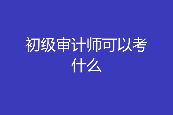 初级审计师可以考什么