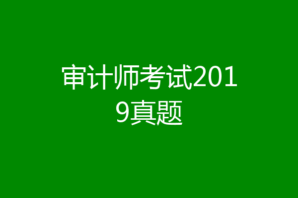 审计师考试2019真题