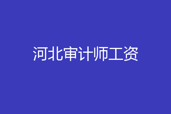 河北审计师工资