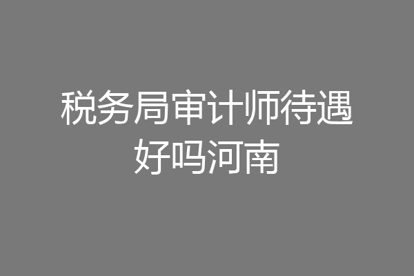 税务局审计师待遇好吗河南