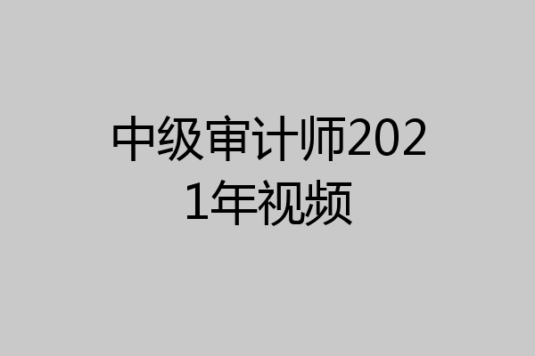 中级审计师2021年视频