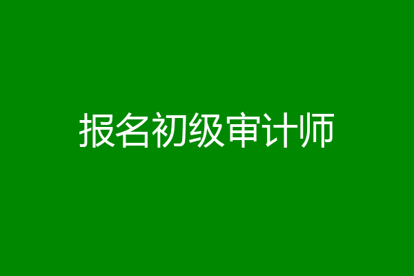 报名初级审计师