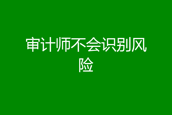 审计师不会识别风险