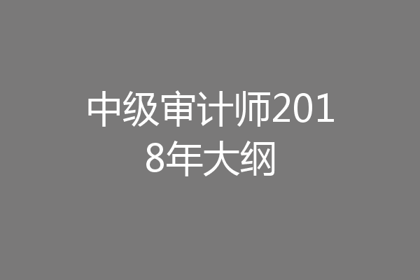 中级审计师2018年大纲