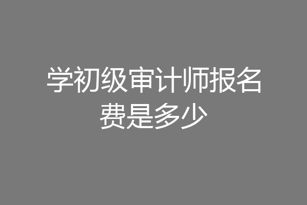 学初级审计师报名费是多少