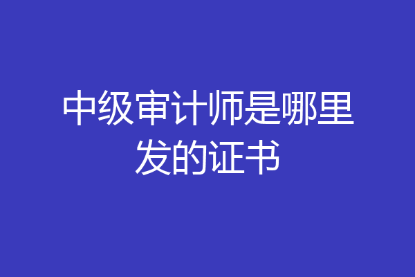 中级审计师是哪里发的证书