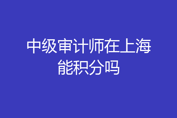 中级审计师在上海能积分吗