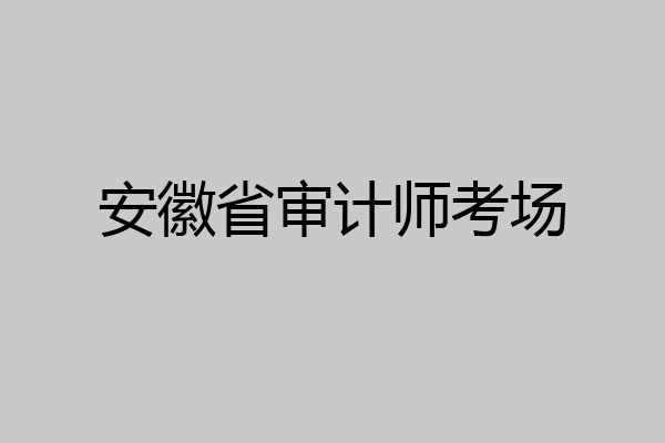 安徽省审计师考场