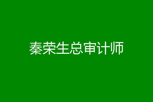 秦荣生总审计师