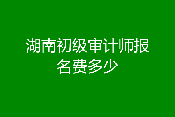 湖南初级审计师报名费多少