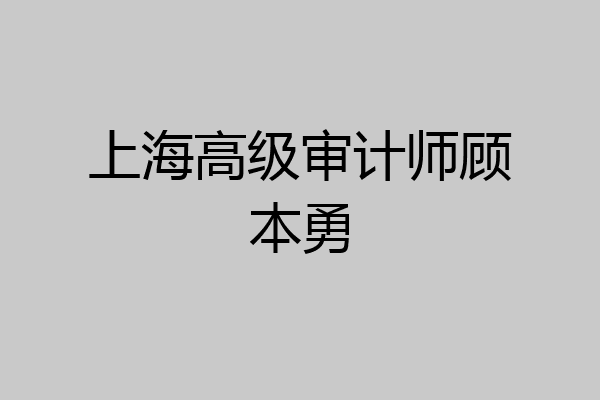 上海高级审计师顾本勇