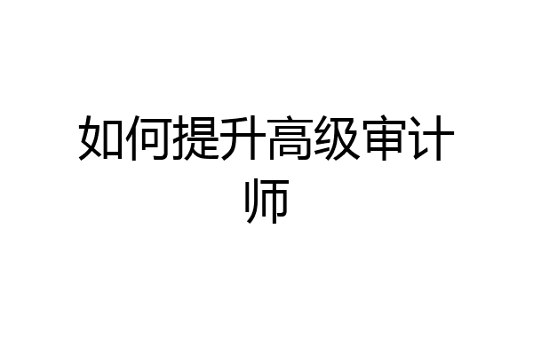 如何提升高级审计师