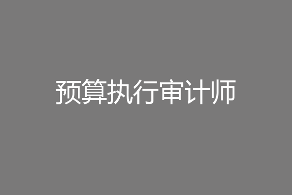 预算执行审计师