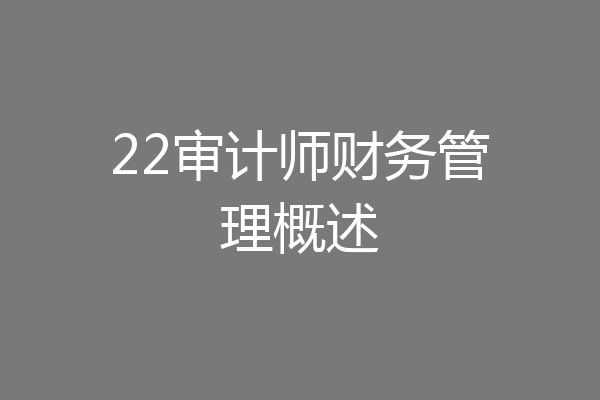22审计师财务管理概述