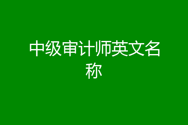 中级审计师英文名称