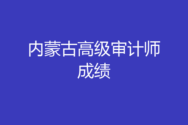 内蒙古高级审计师成绩