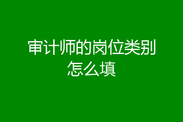 审计师的岗位类别怎么填