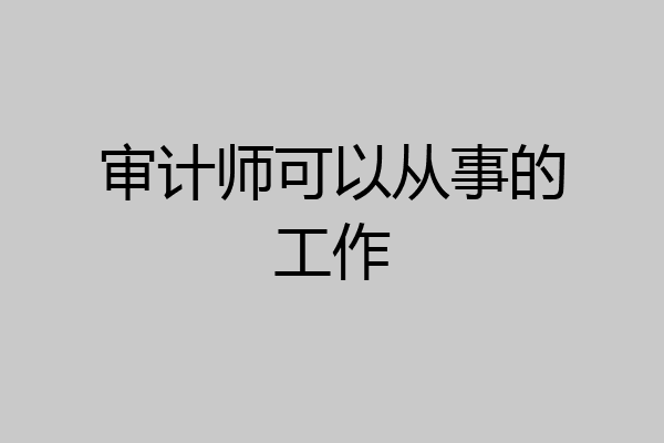 审计师可以从事的工作