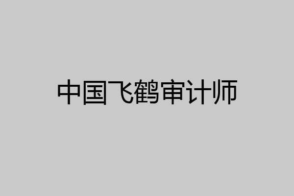 中国飞鹤审计师
