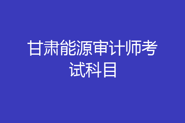 甘肃能源审计师考试科目
