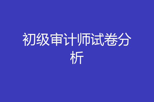 初级审计师试卷分析