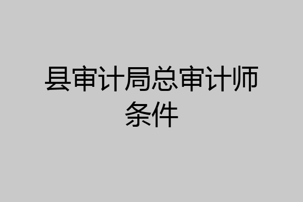 县审计局总审计师条件
