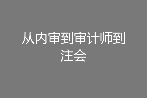 从内审到审计师到注会