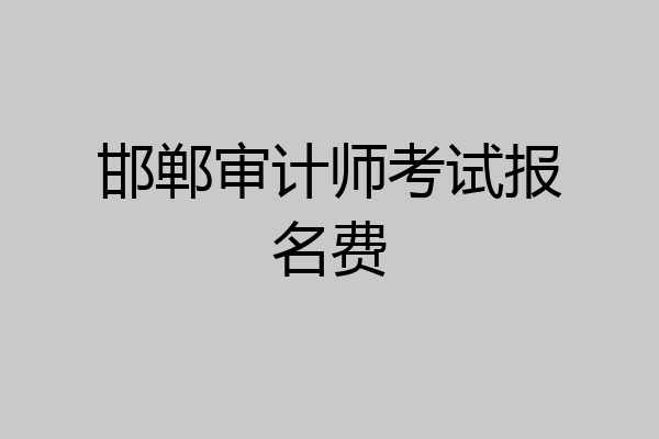 邯郸审计师考试报名费