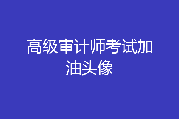 高级审计师考试加油头像