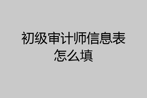 初级审计师信息表怎么填