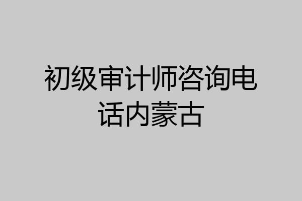 初级审计师咨询电话内蒙古