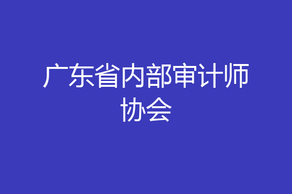 广东省内部审计师协会