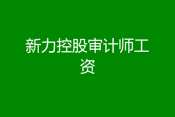 新力控股审计师工资