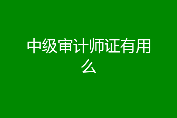 中级审计师证有用么