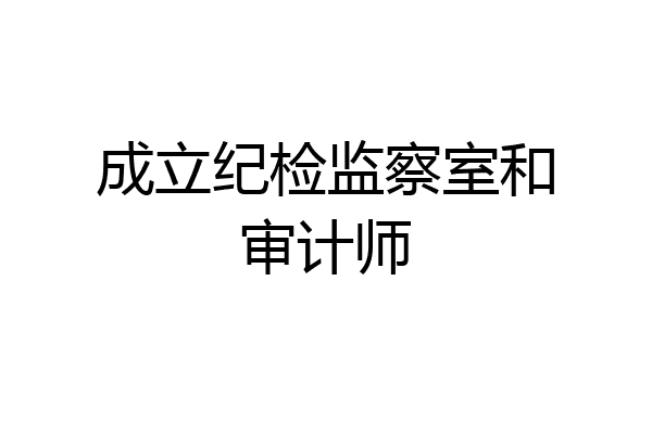 成立纪检监察室和审计师