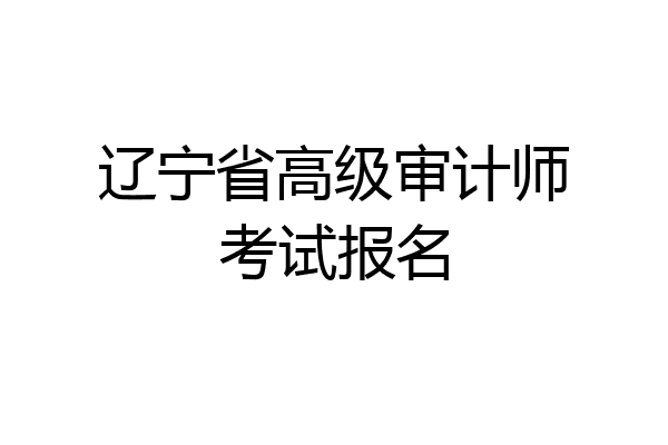 辽宁省高级审计师考试报名