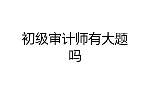 初级审计师有大题吗