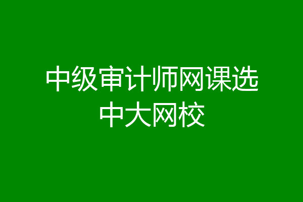 中级审计师网课选中大网校