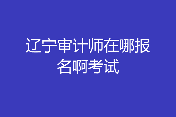 辽宁审计师在哪报名啊考试