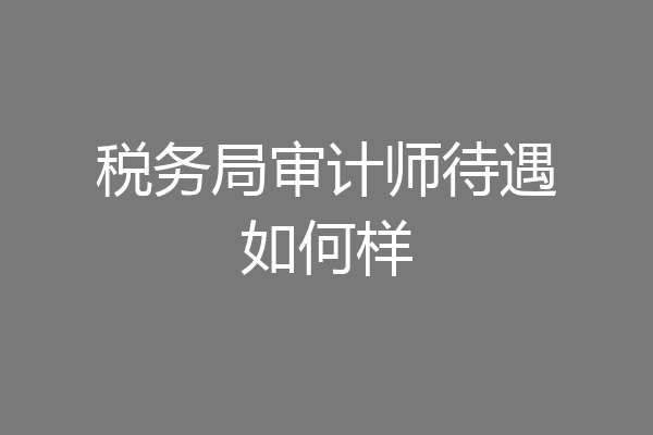 税务局审计师待遇如何样