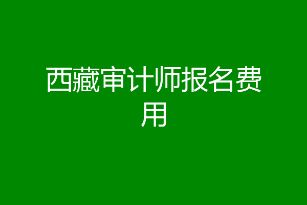 西藏审计师报名费用