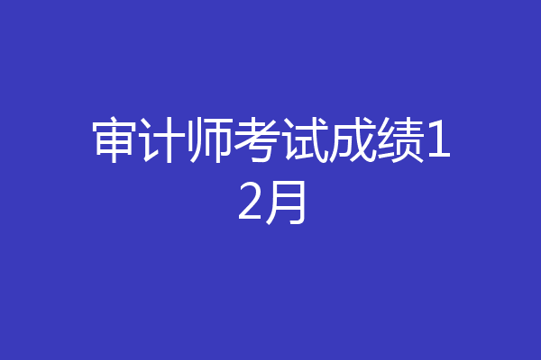 审计师考试成绩12月