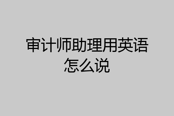 审计师助理用英语怎么说