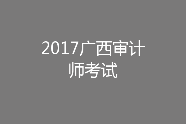 2017广西审计师考试