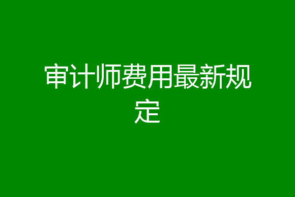审计师费用最新规定